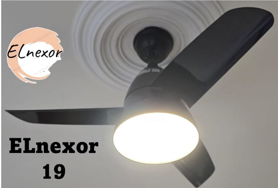 ELnexor 19