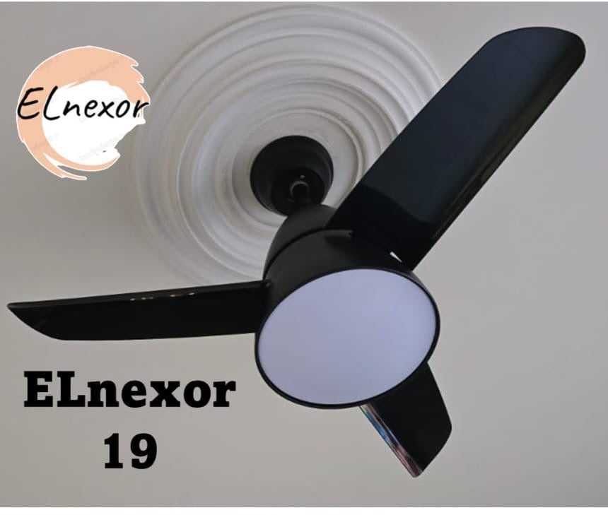 ELnexor 19