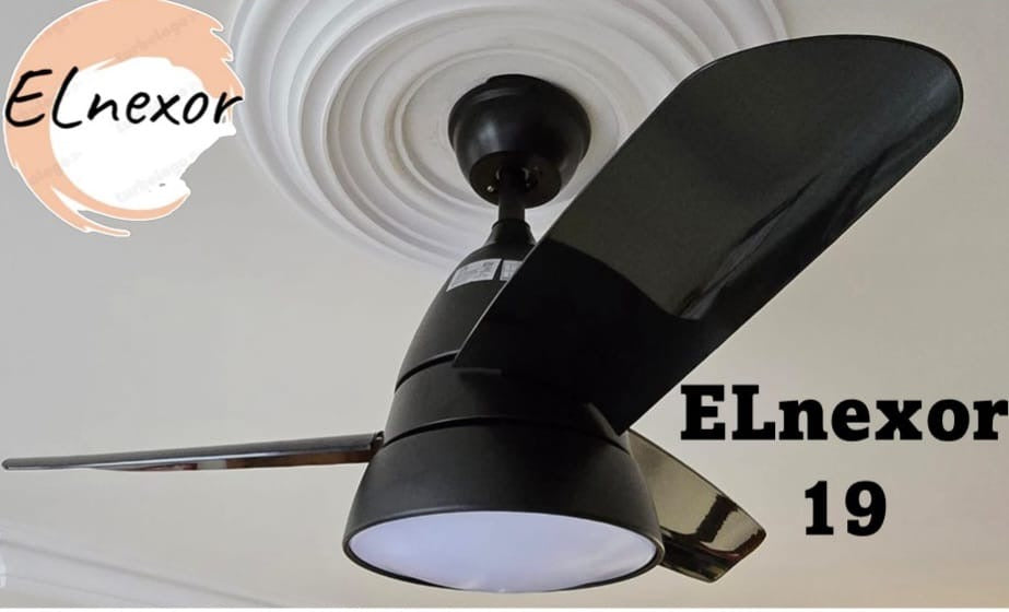 ELnexor 19