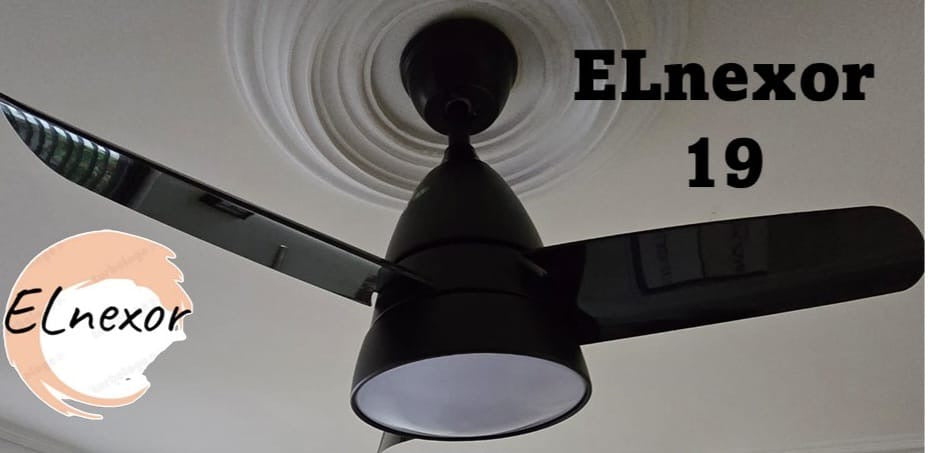 ELnexor 19
